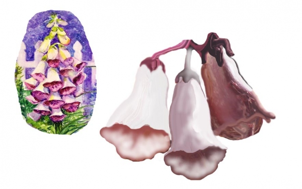 Creation of Foxgloves 'n Butterflies: Step 4